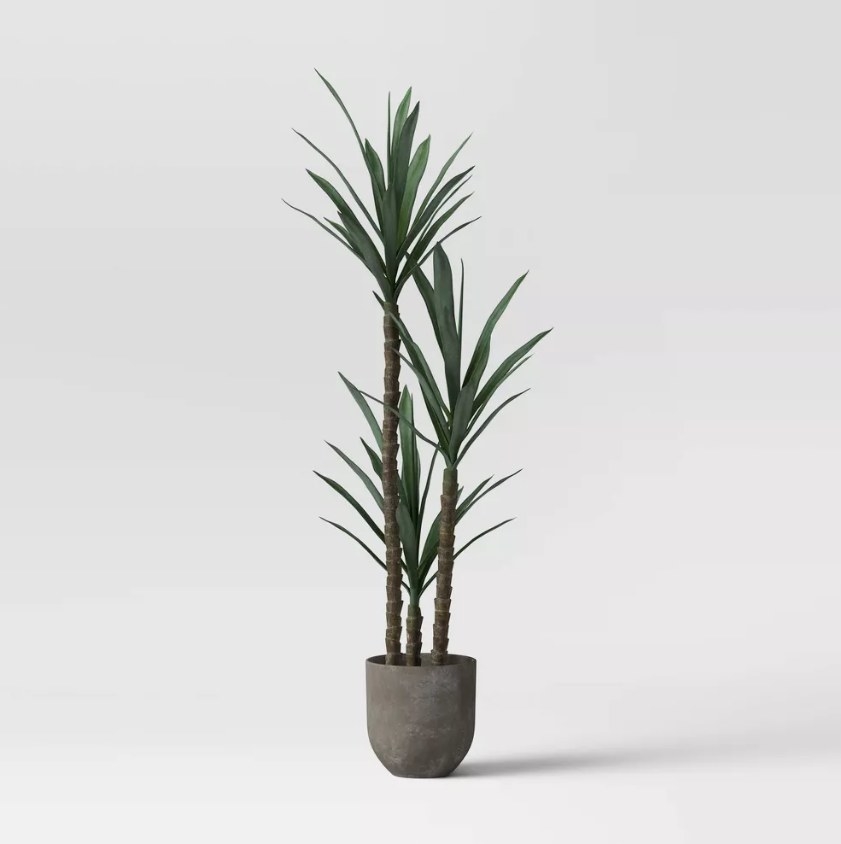 The faux Dracaena plant