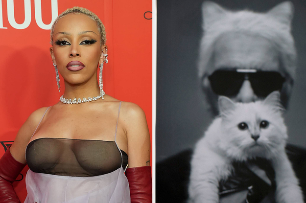Doja Cat Is Unrecognisable Dressed As Karl Lagerfeld's Cat