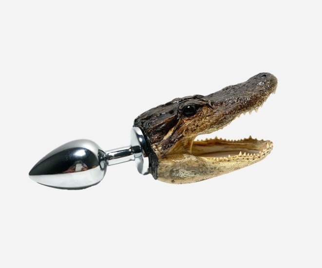 A butt plug with an alligator head attached to it