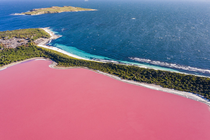 the pink lake next to the ocean