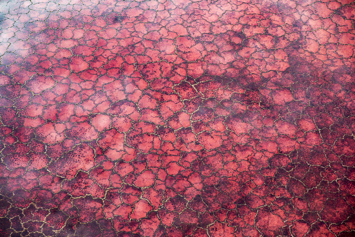 the red lake