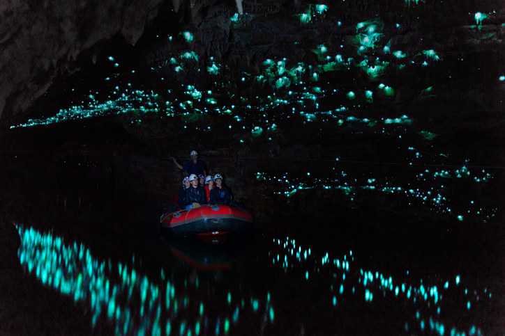 glowworms lighting the way for a tour of people