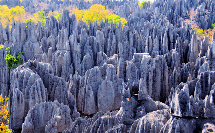 the rigid tall rocks in the park