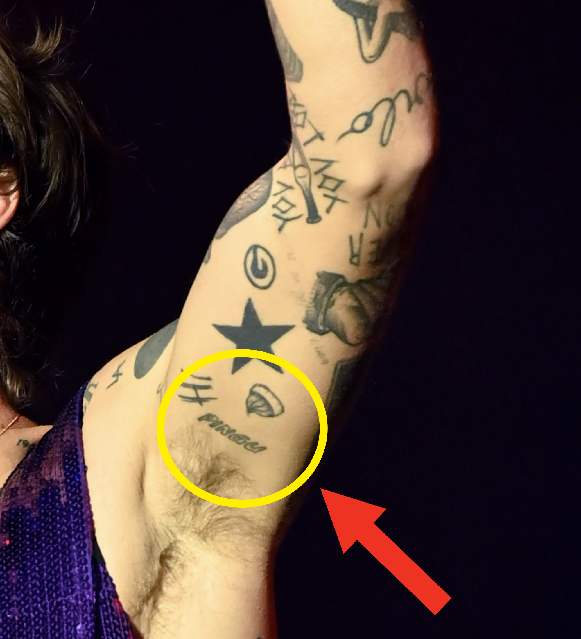 Closeup of Harry Styles&#x27;s tattoo