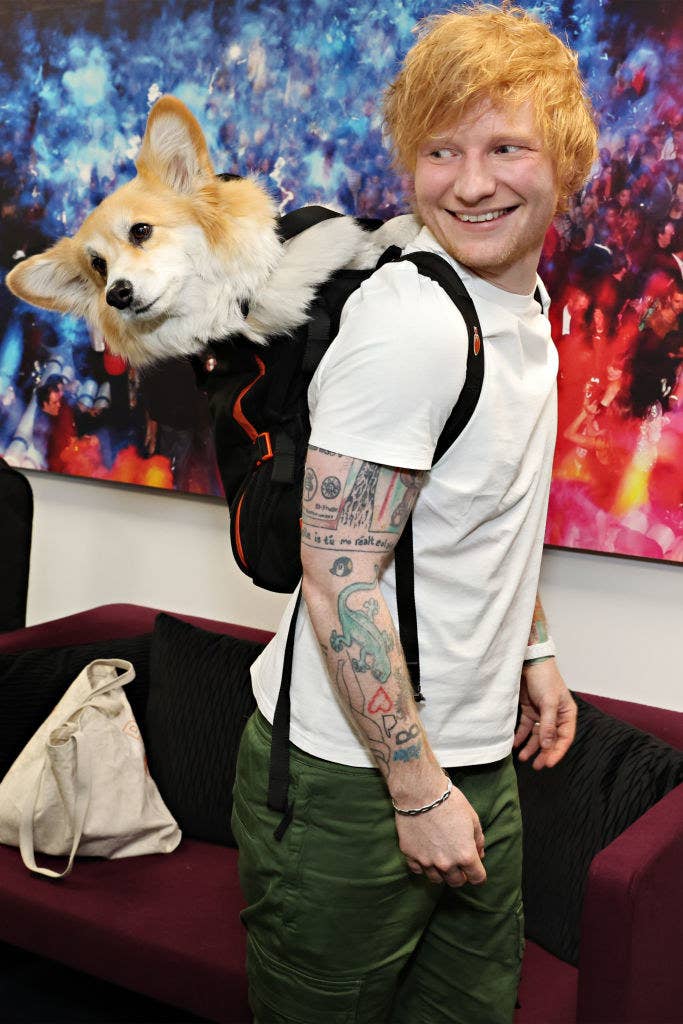 Closeup of Ed Sheeran with a dog in his backpack