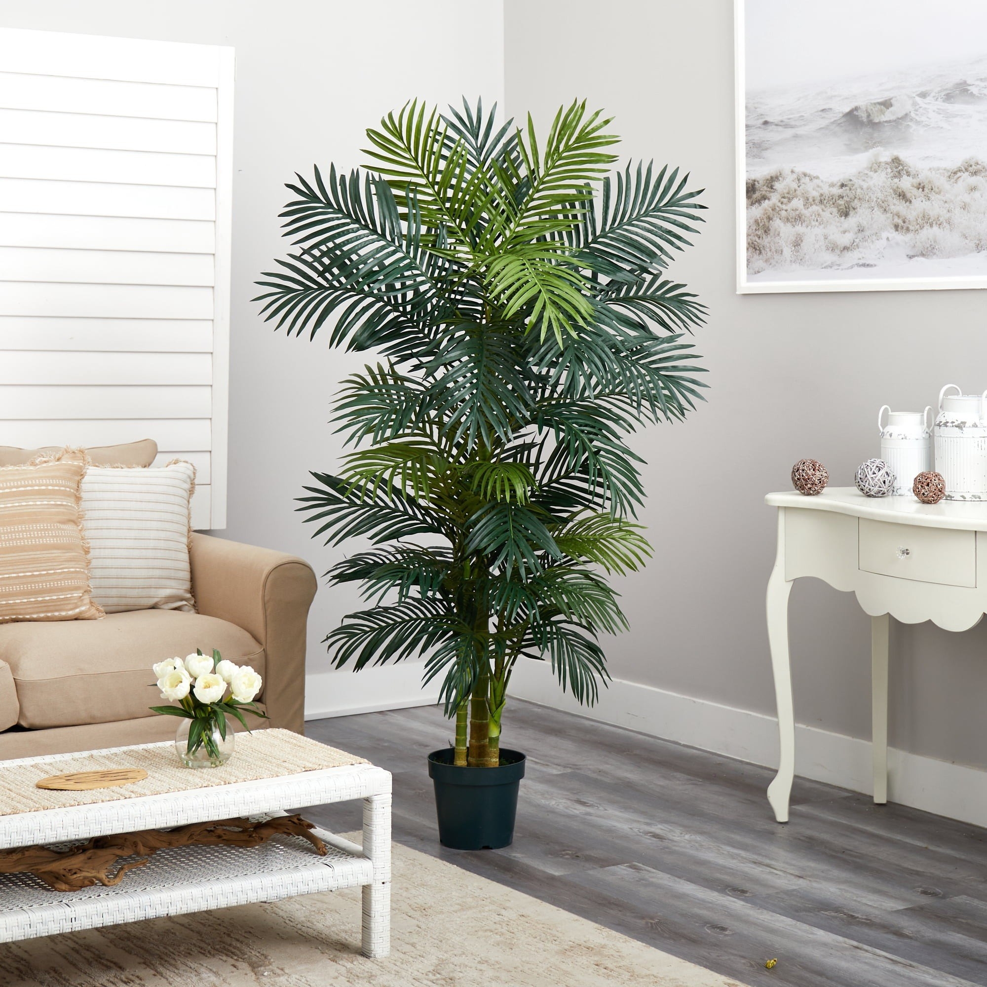 the palm tree with many leaves in a room