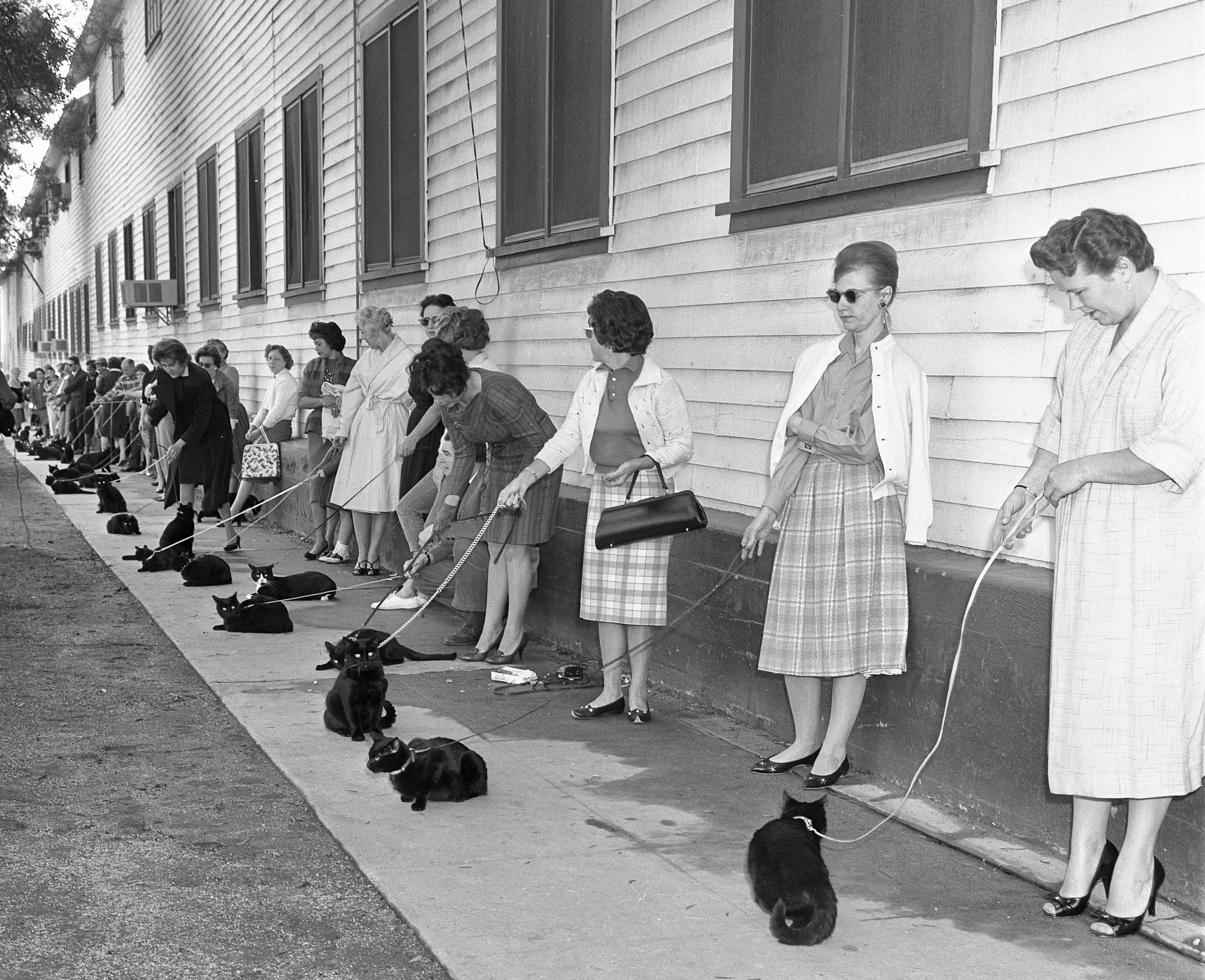 Women standing with black cats on leashes