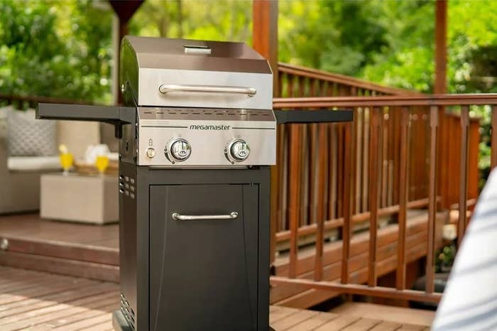 the gray two-burner gas grill