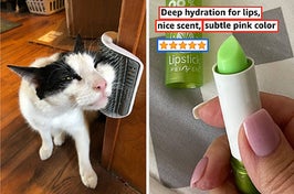 L: cat rubbing its face on a wall-mounted brush R: green aloe vera color-changing lipstick with reviewer quote on image "deep hydration for lips, nice scent, subtle pink color"