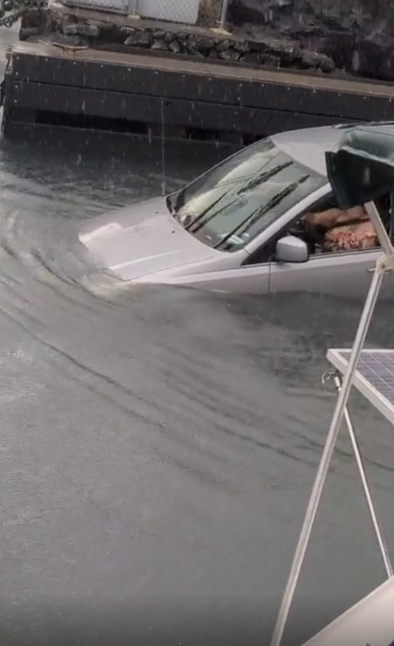 A car in water