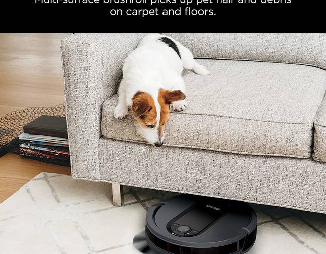 the robot vacuum under a couch