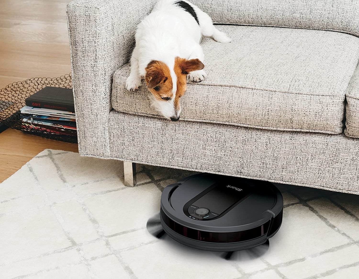the robot vacuum under a couch