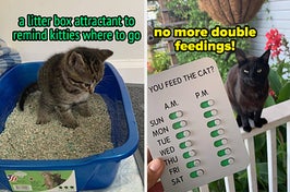 a litter box attractant used to remind cats where to go / a "did you feed the cat" magnetic reminder