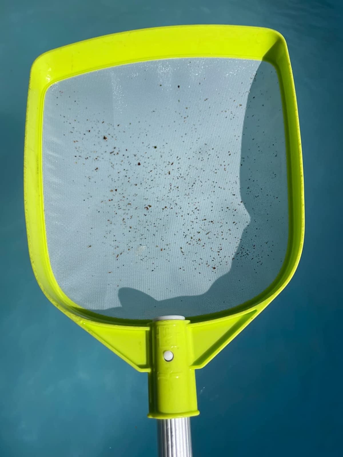 Lime green colored pool skimmer with dirt particles inside the net
