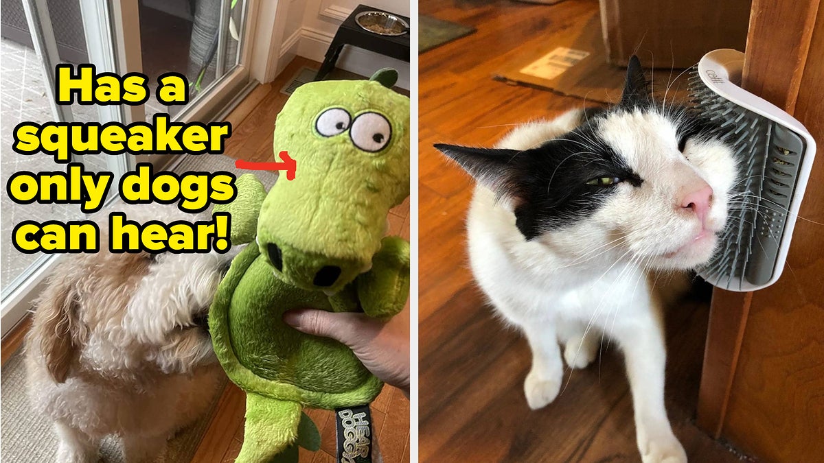 L: soft alligator-shaped stuffed dog toy that has a squeaker that only dogs can hear R: cat rubbing its face on a wall-mounted brush