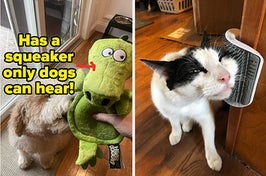 L: soft alligator-shaped stuffed dog toy that has a squeaker that only dogs can hear R: cat rubbing its face on a wall-mounted brush