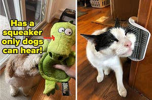 L: soft alligator-shaped stuffed dog toy that has a squeaker that only dogs can hear R: cat rubbing its face on a wall-mounted brush