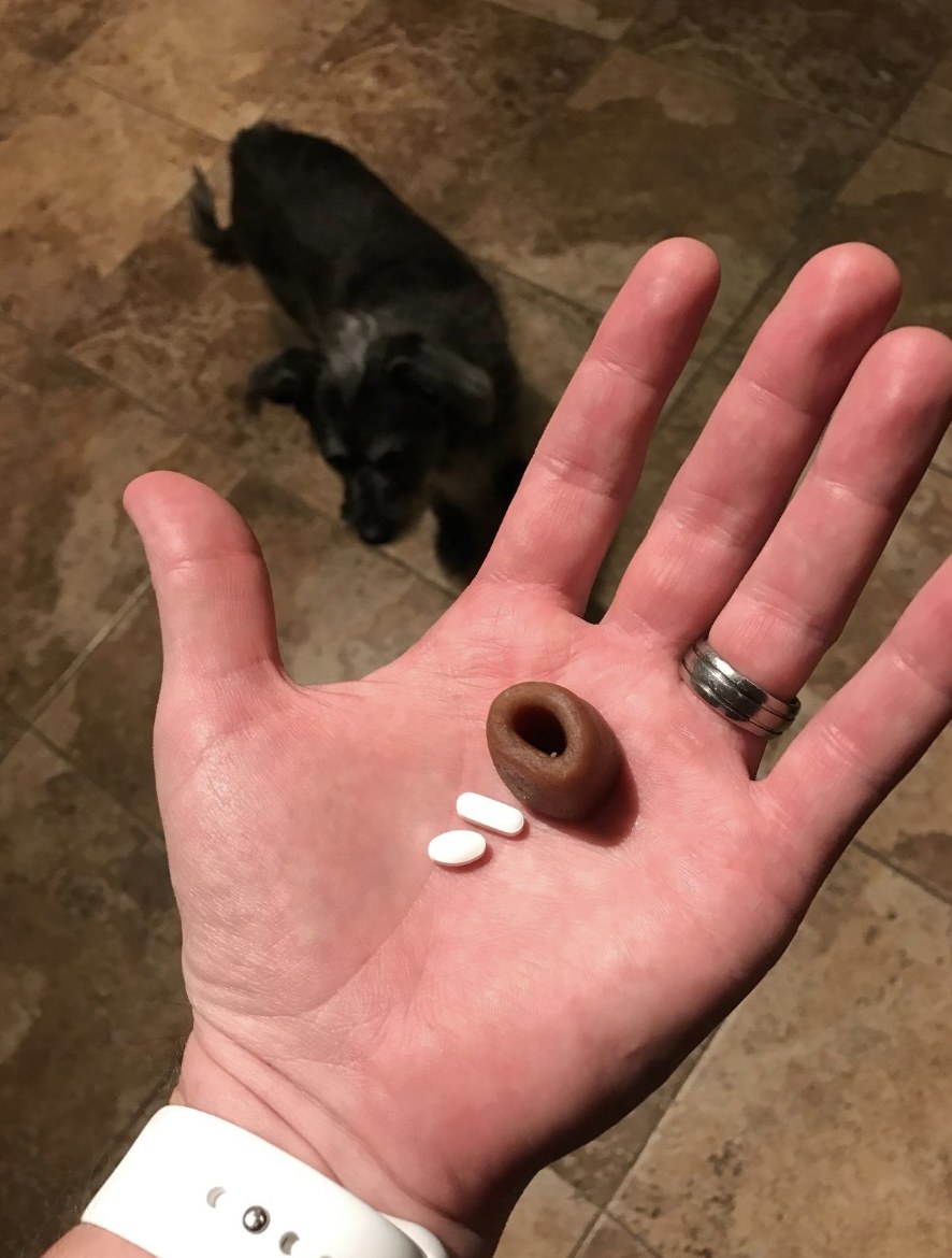 A person holding a pill pocket with pills in front of their dog