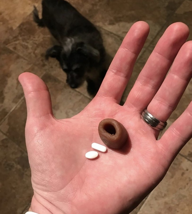 A person holding a pill pocket with pills in front of their dog