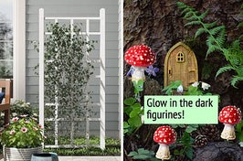side by side photos of a white trellis and red-capped glow in the dark mushrooms