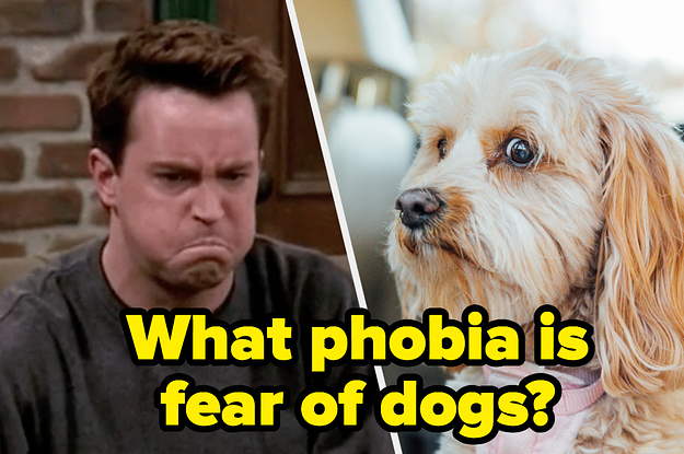 Chandler Bing and a dog.