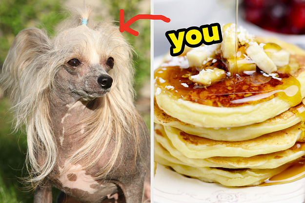 Build A Giant Stack Of Pancakes To Find Which Dog Breed You Are