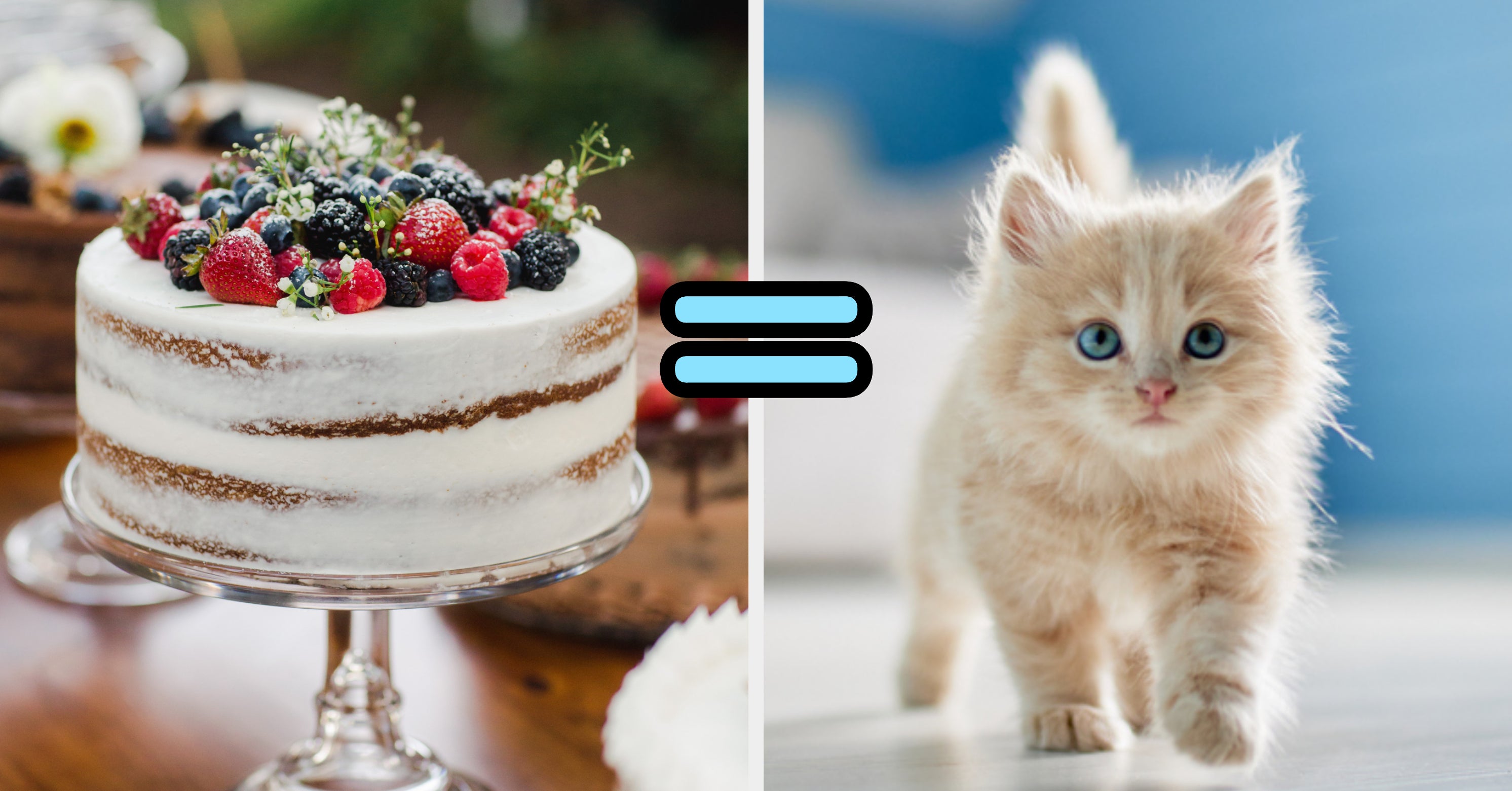 Eat At A 24Hour Buffet And I'll Reveal Which Animal Matches Your Vibe