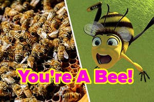 Bees in a hive and a bee screaming in Bee Movie.