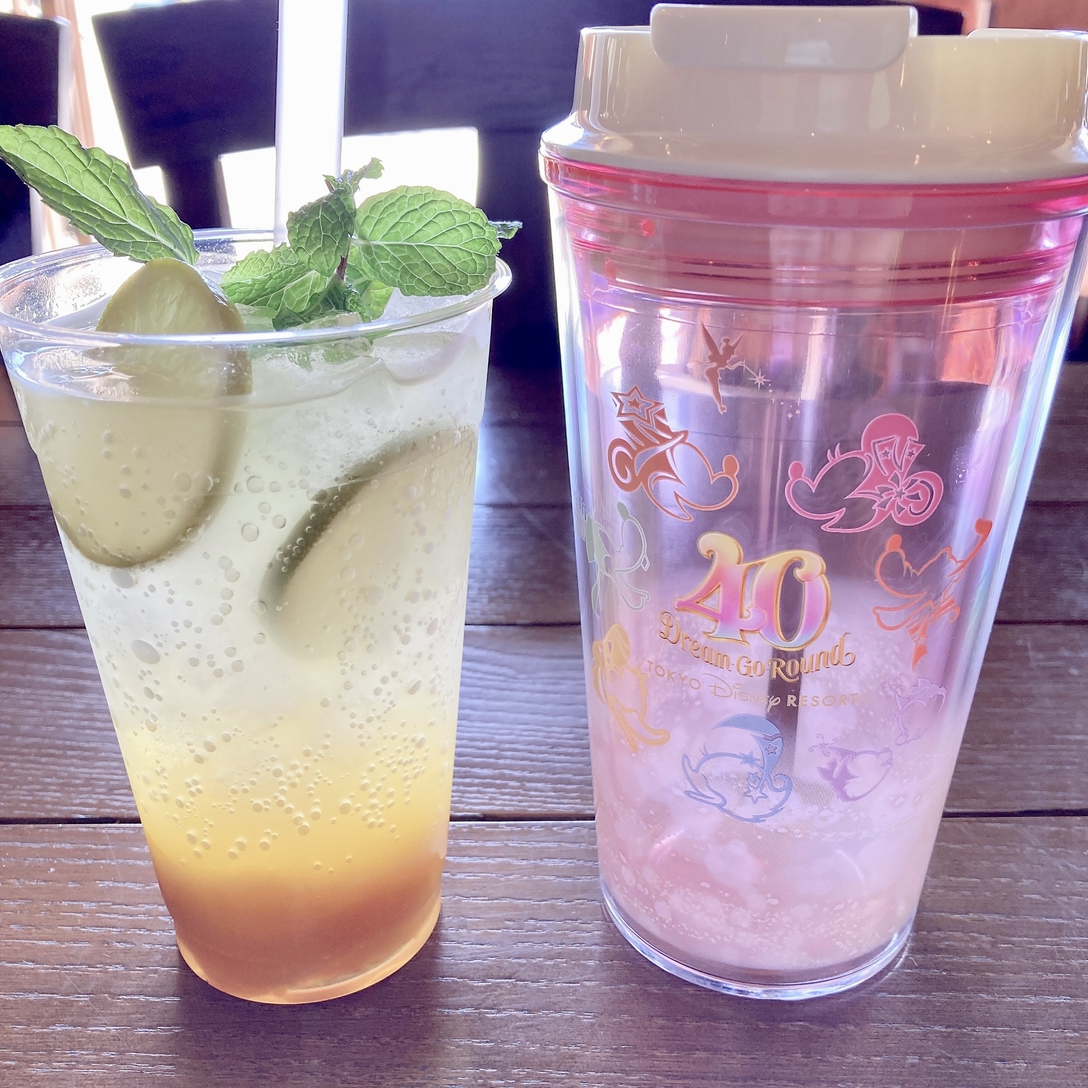ディズニーランドとシーのおすすめ雑貨「スーベニアタンブラー」