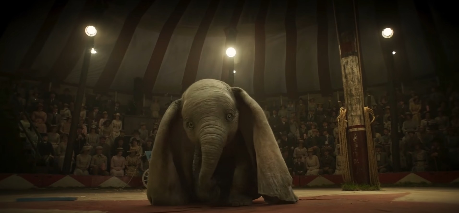 A small elephant with large ears sits in a circus ring under spotlights; audience in the background