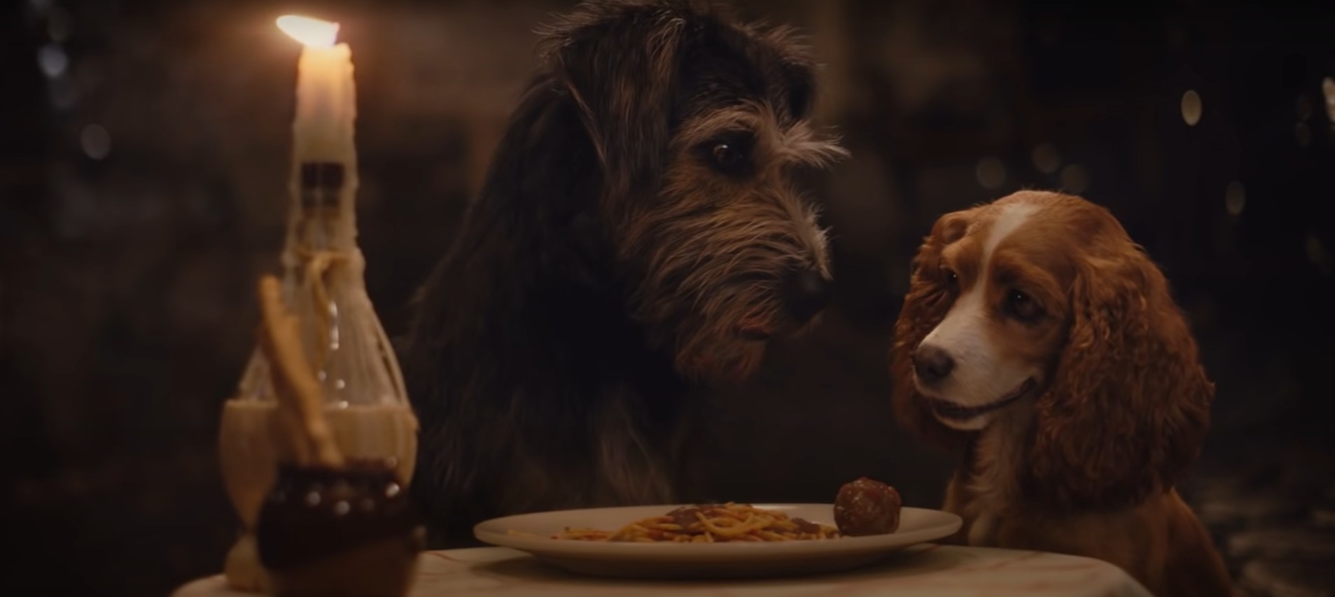 Two dogs facing each other with a plate of spaghetti and a candle between them
