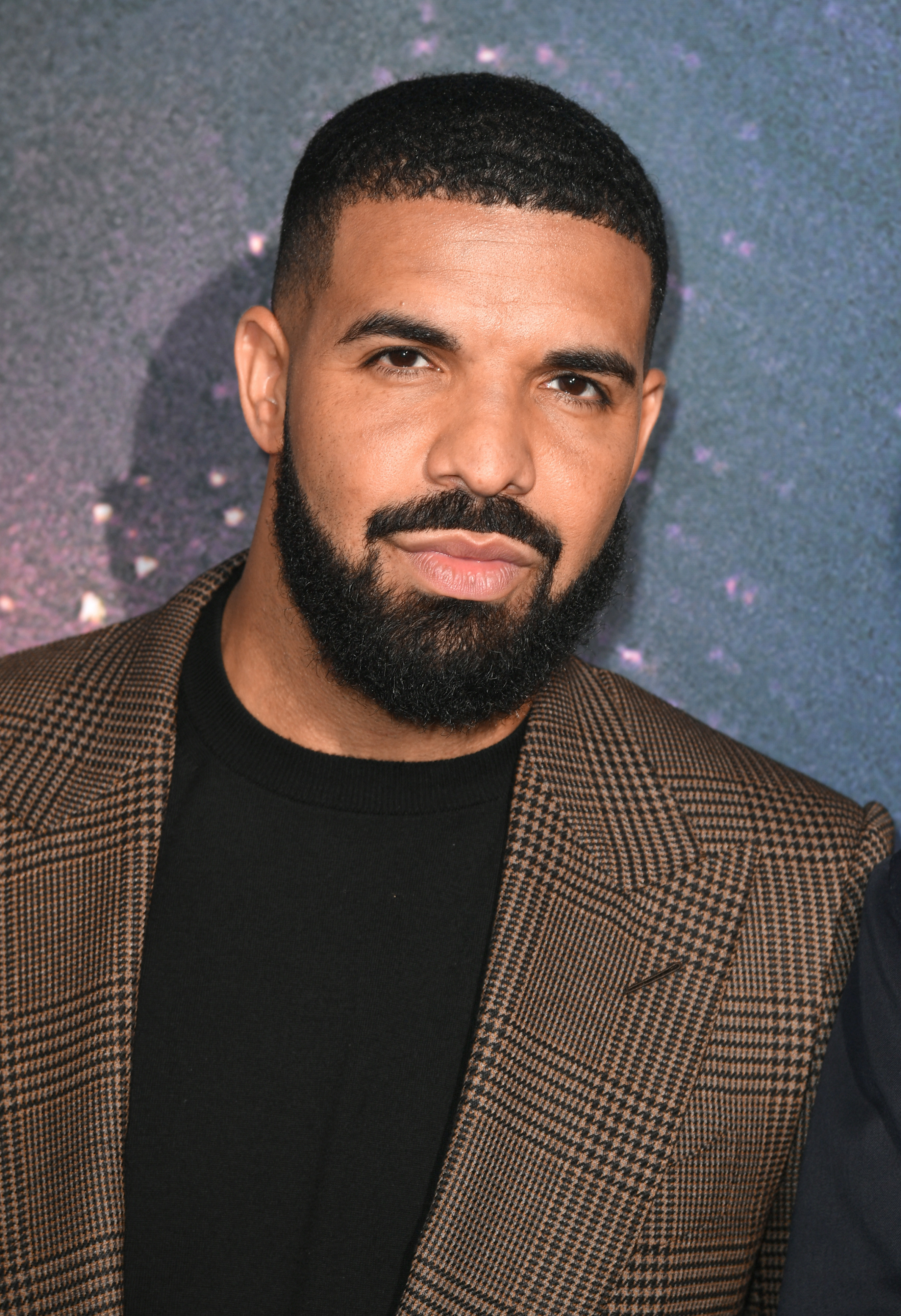 Close-up of Drake