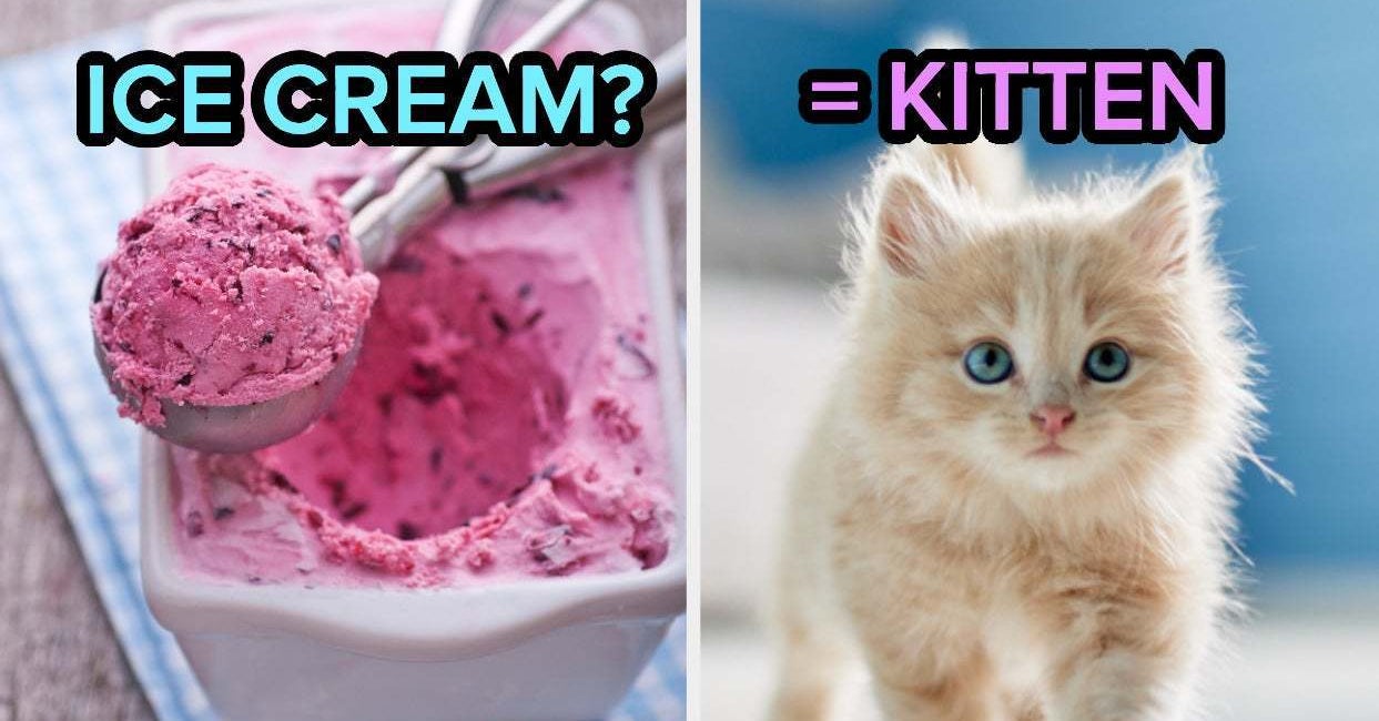 Your Taste Buds Will Reveal What Kind Of Cat Totally Matches Your Energy
