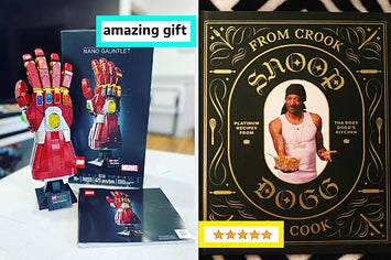 reviewer's nano gauntlet Lego set and reviewer's Snoop Dogg cookbook