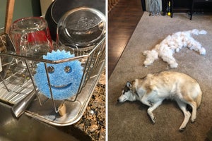 a blue scrub daddy / a dog with a dog-size pile of removed hair next to it