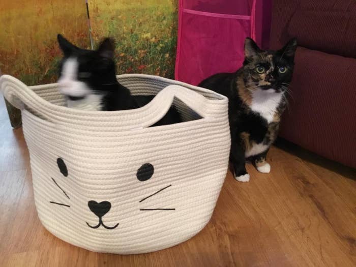 a reviewer photo of a cat inside the white basket with another cat sitting next to it