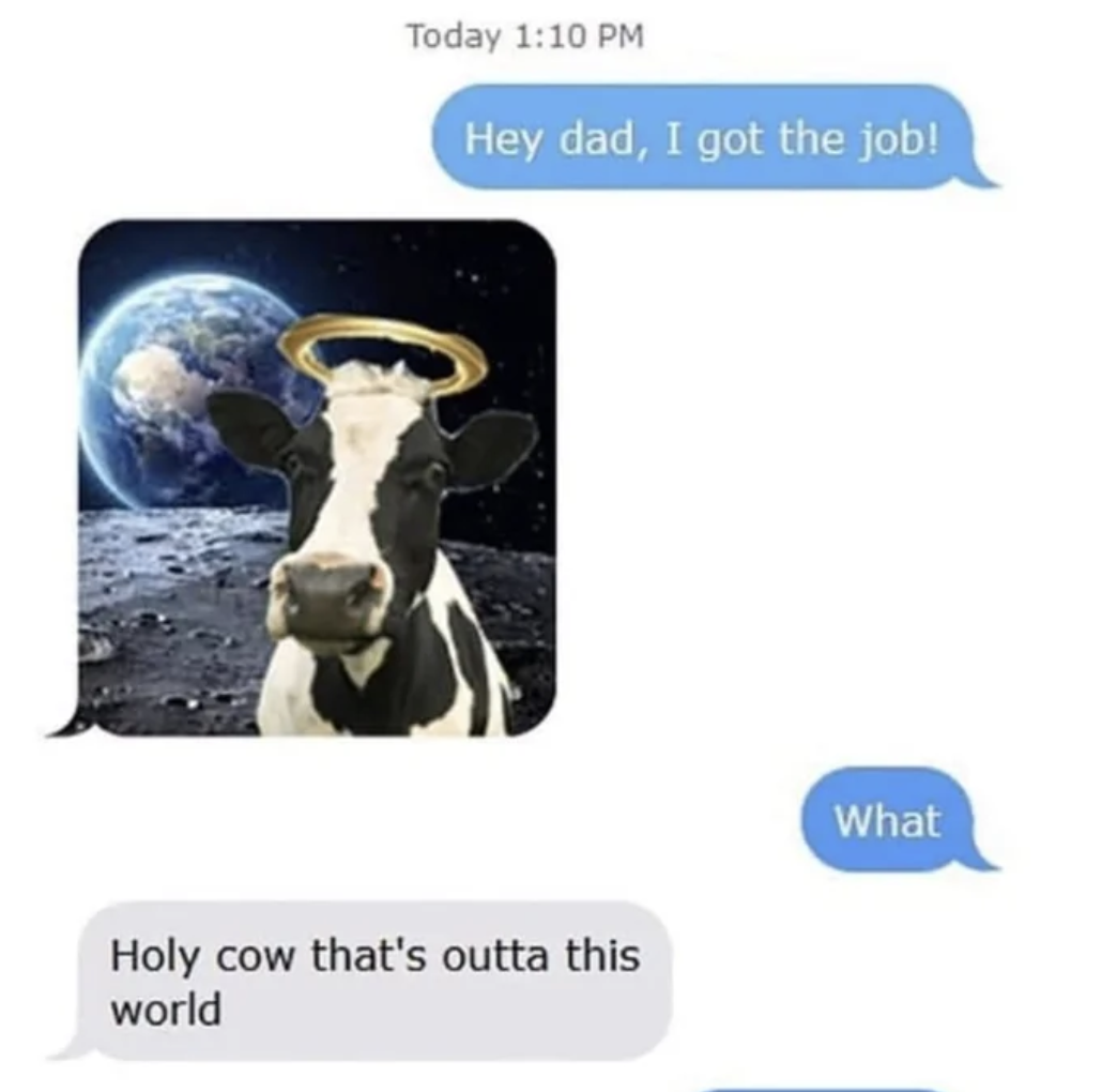 Dad posting a cow in space, &quot;Holy cow that&#x27;s outta this world,&quot; to news kid got the job