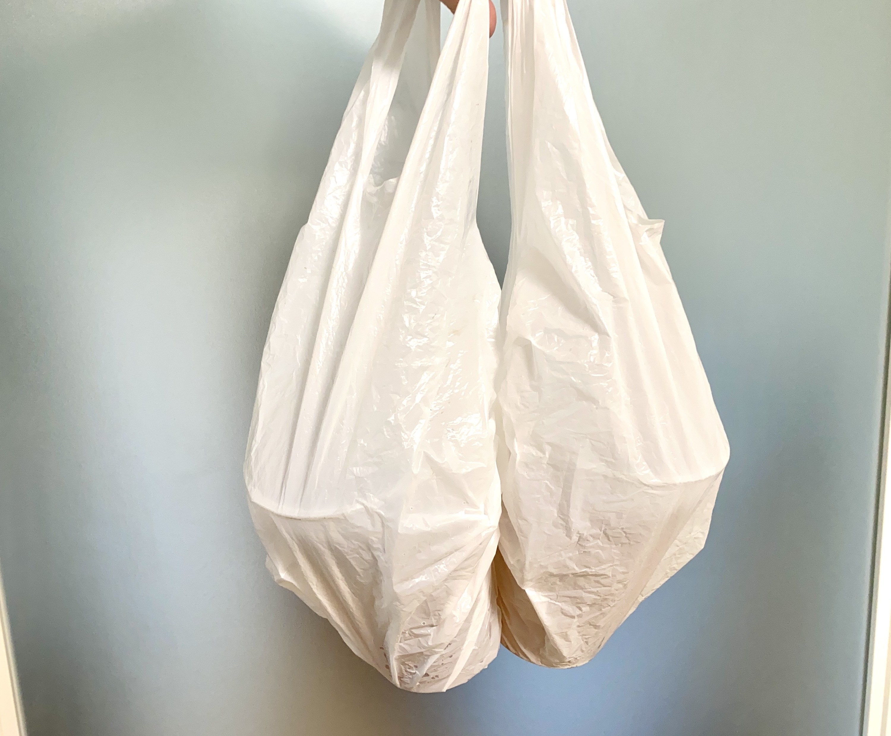 実際に試してみた