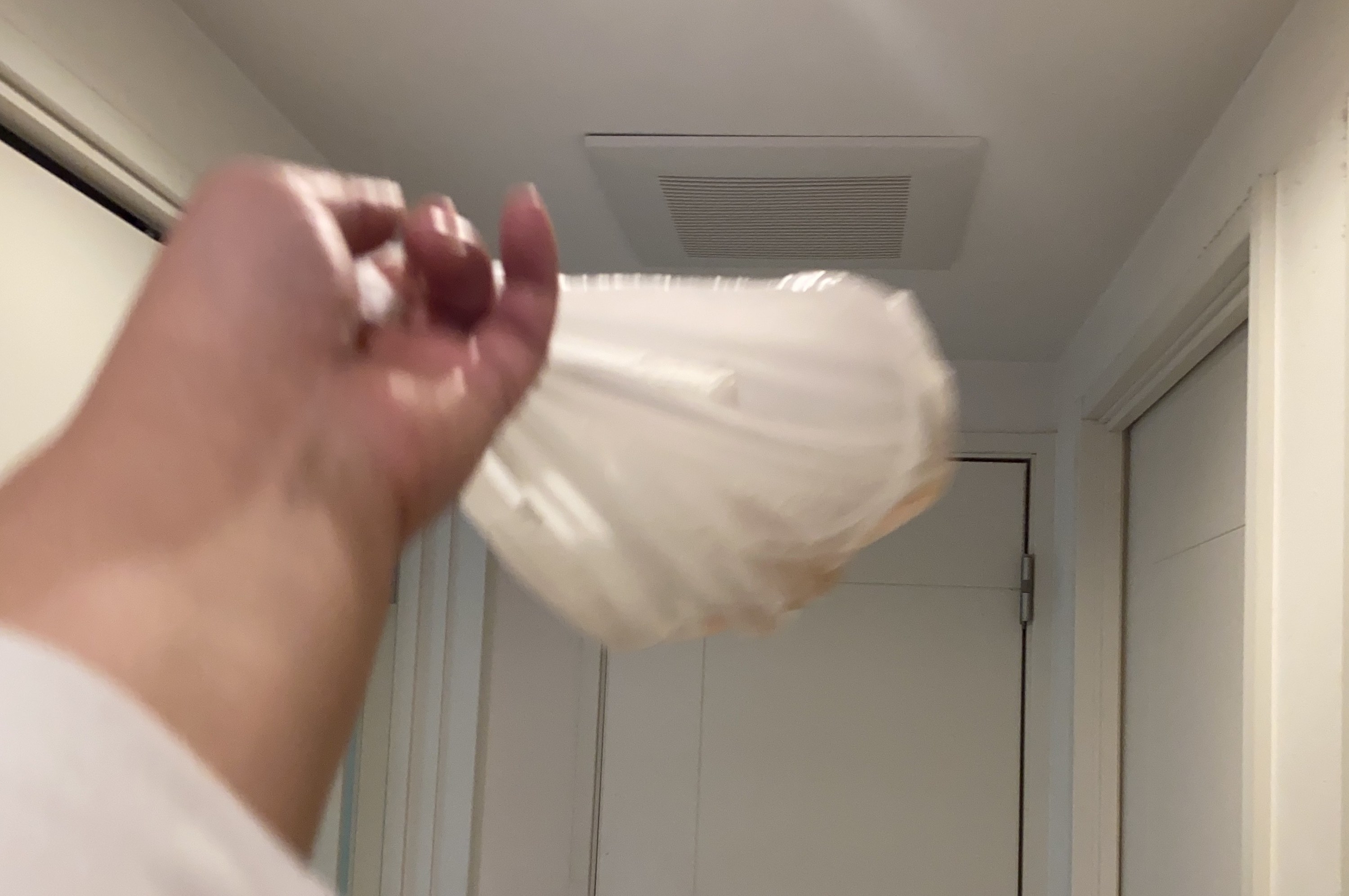 実際に試してみた