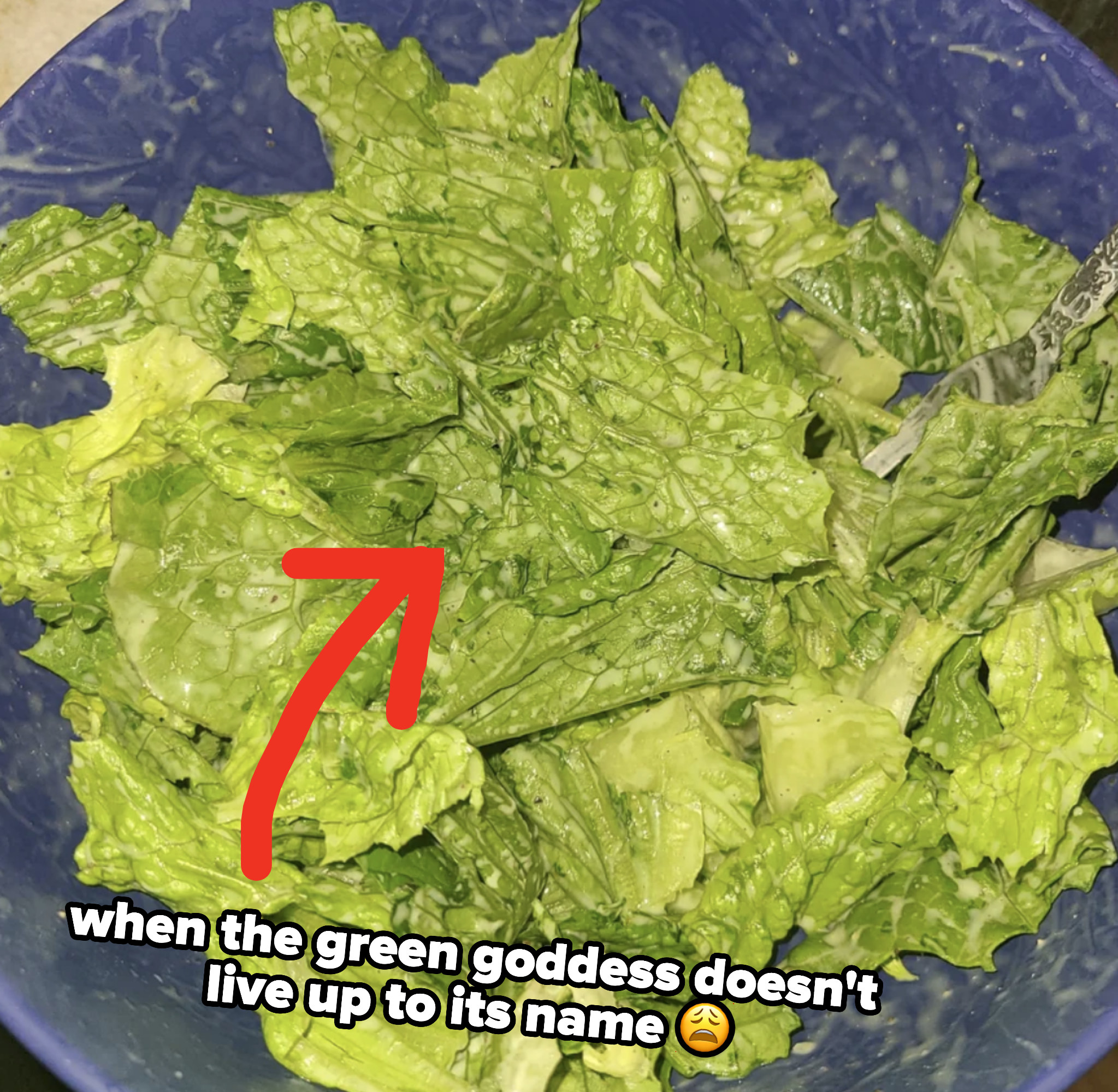 arrow pointing to green goddess dressing on salad with annotation saying &quot;when the green goddess doesn&#x27;t live up to its name&quot;