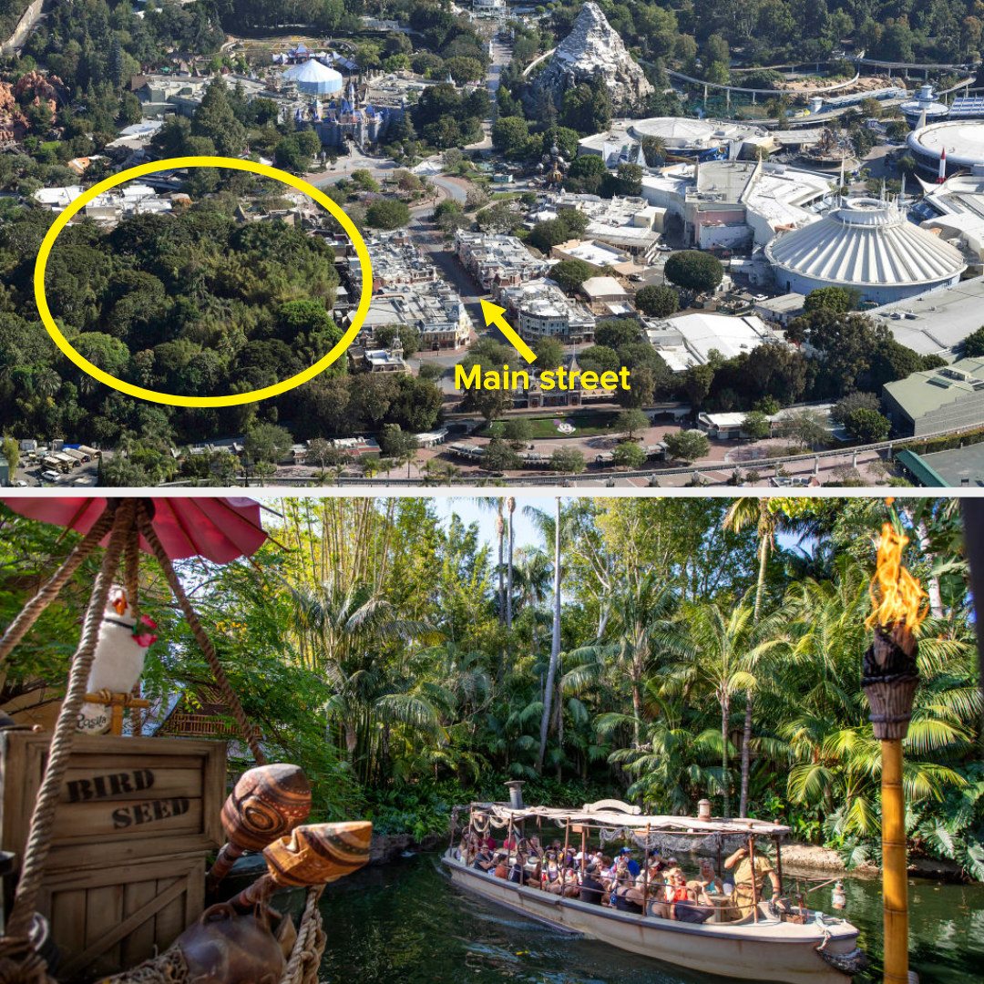 the trees behind the main street area and then a jungle cruise happening in a long boat
