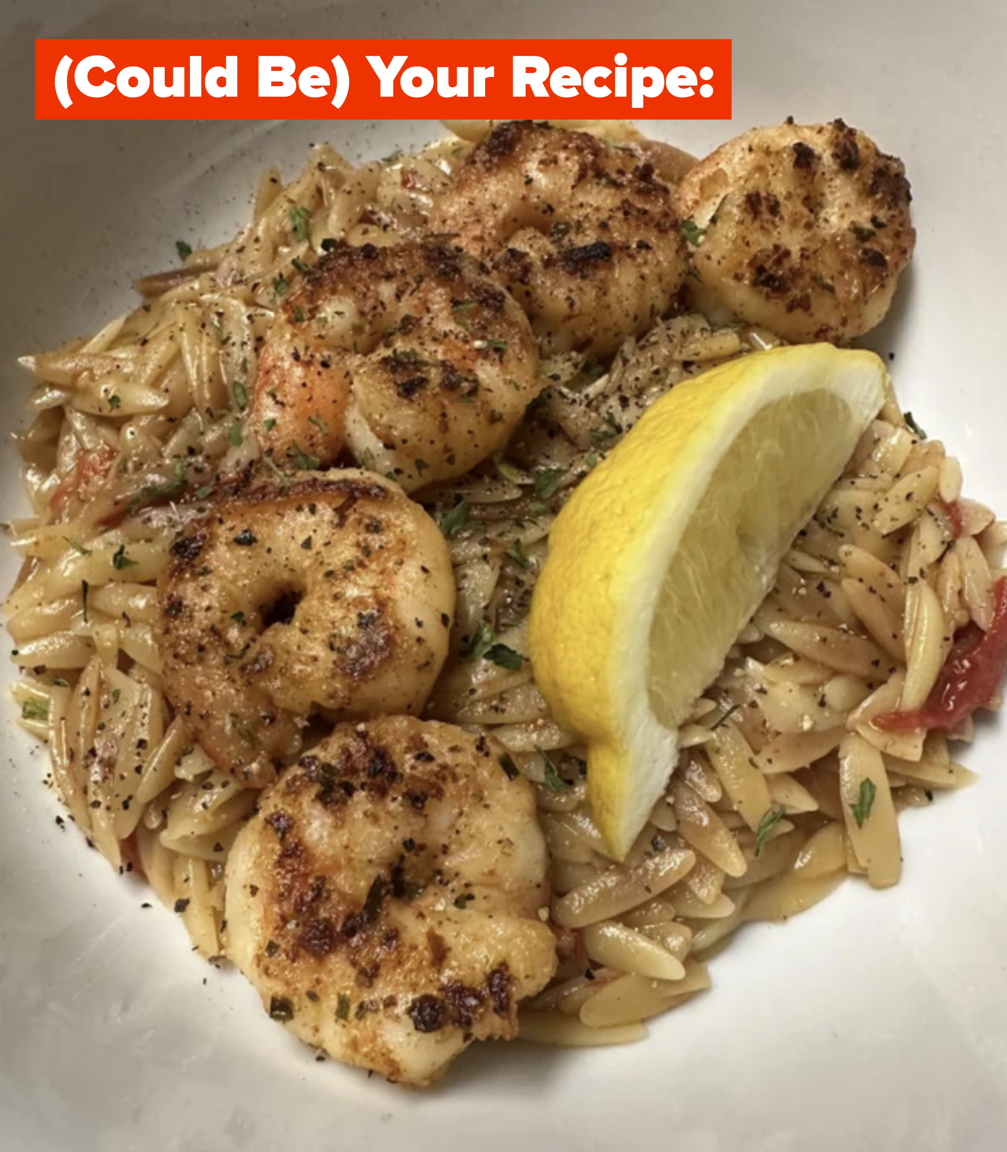 shrimp with orzo and basil and text saying could be your recipe.