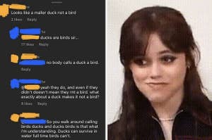 A Facebook commenter saying that ducks aren't birds because ducks can survive in water next to Jenna Ortega trying to stifle a laugh