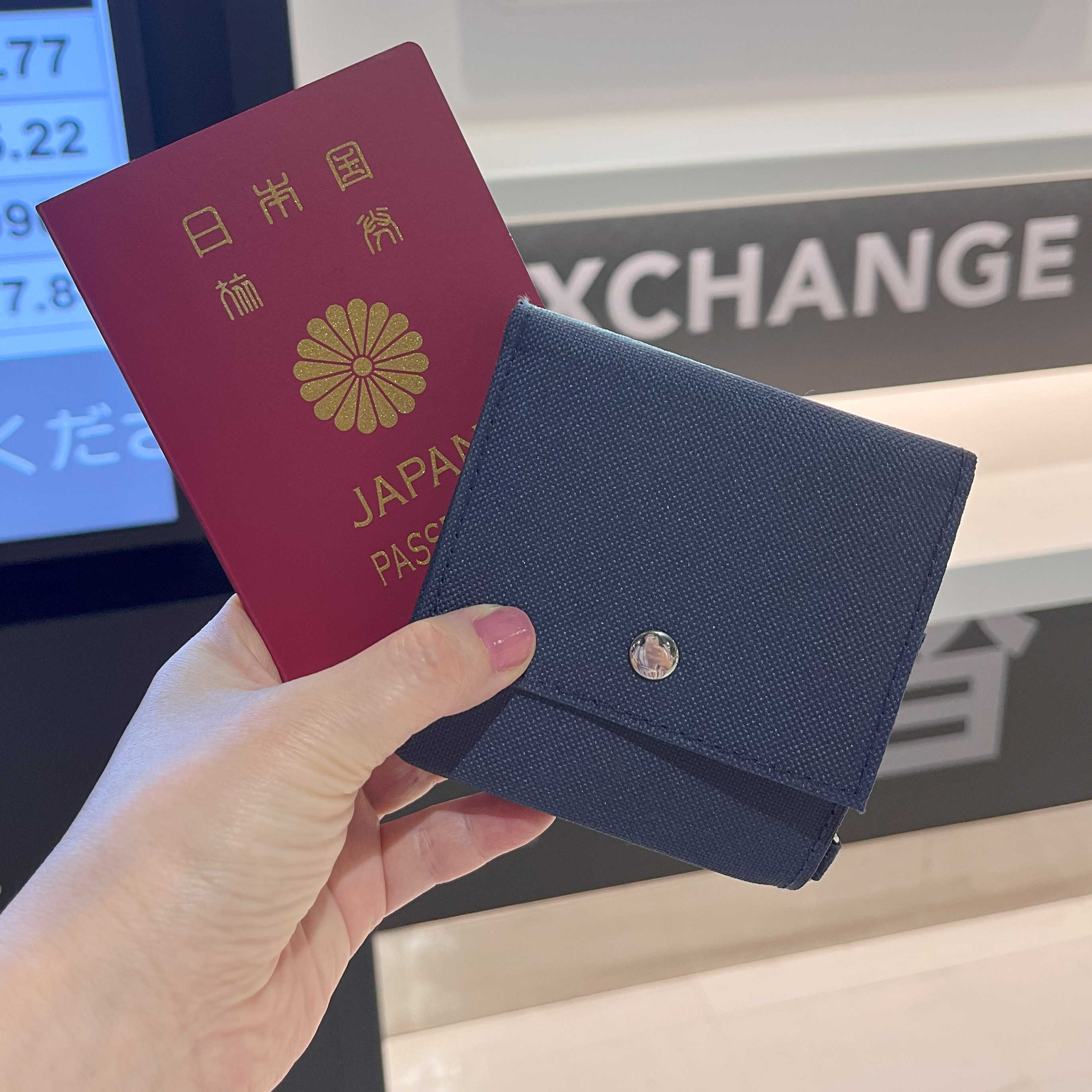 HANDS（ハンズ）のおすすめ旅行用品「近畿日本ツーリスト×ハンズ トラベルWウォレット」