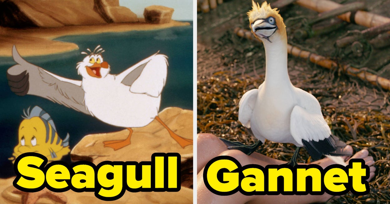 FYI, In The New “The Little Mermaid” Scuttle Isn’t A Seagull Anymore, And Here’s Why