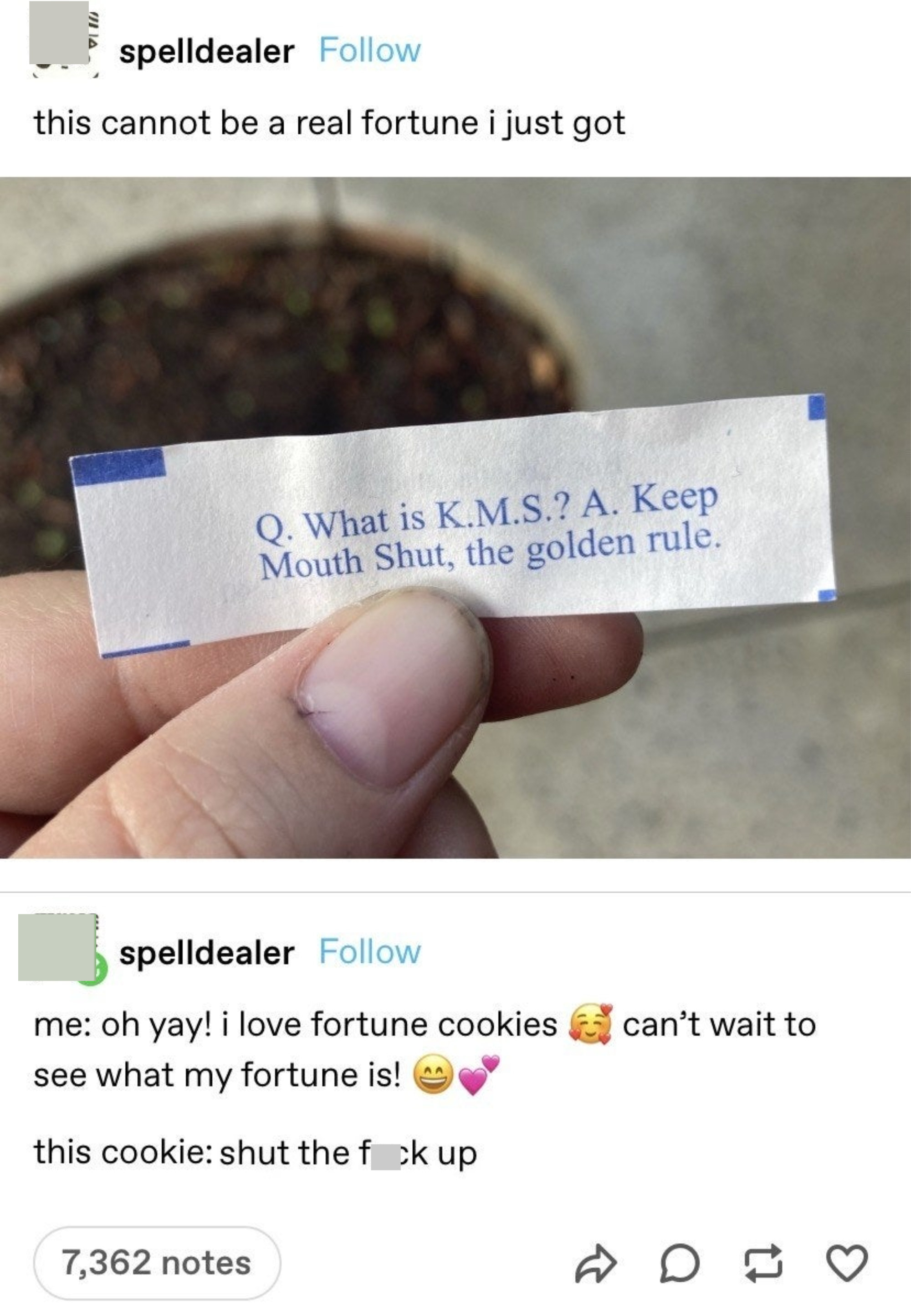 Person can&#x27;t believe they got a fortune cookie that says &quot;KMS means Keep Mouth Shut, the golden rule&quot; and they describe it as &quot;Oh yay, I love fortune cookies, can&#x27;t wait to see what my fortune is&quot; and &quot;This cookie: Shut the fuck up&quot;