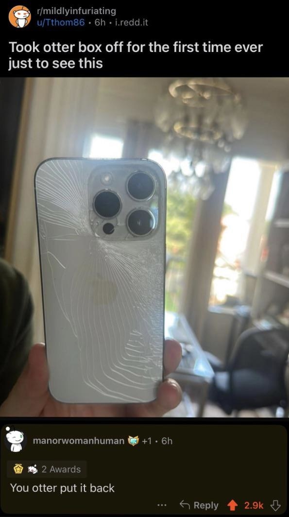 Person holding an iPhone with cracks with text &quot;Took this otter box off for the first time just to see this,&quot; and person responds &quot;You otter put it back&quot;