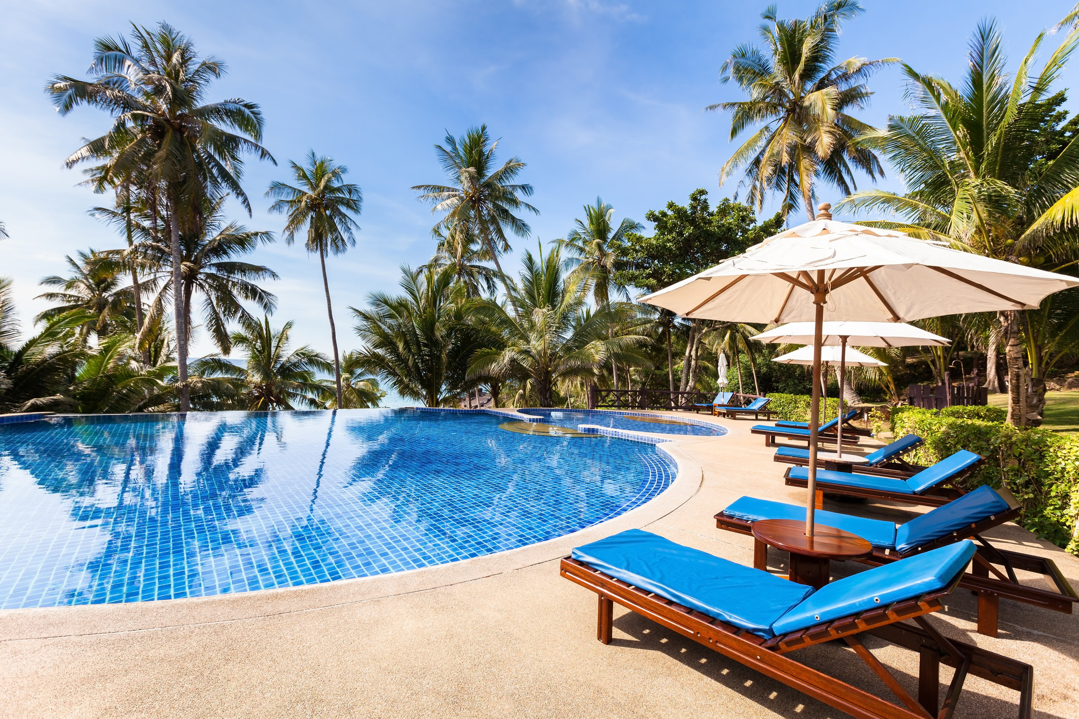 A large pool surrounded by palm trees and lounge chairs