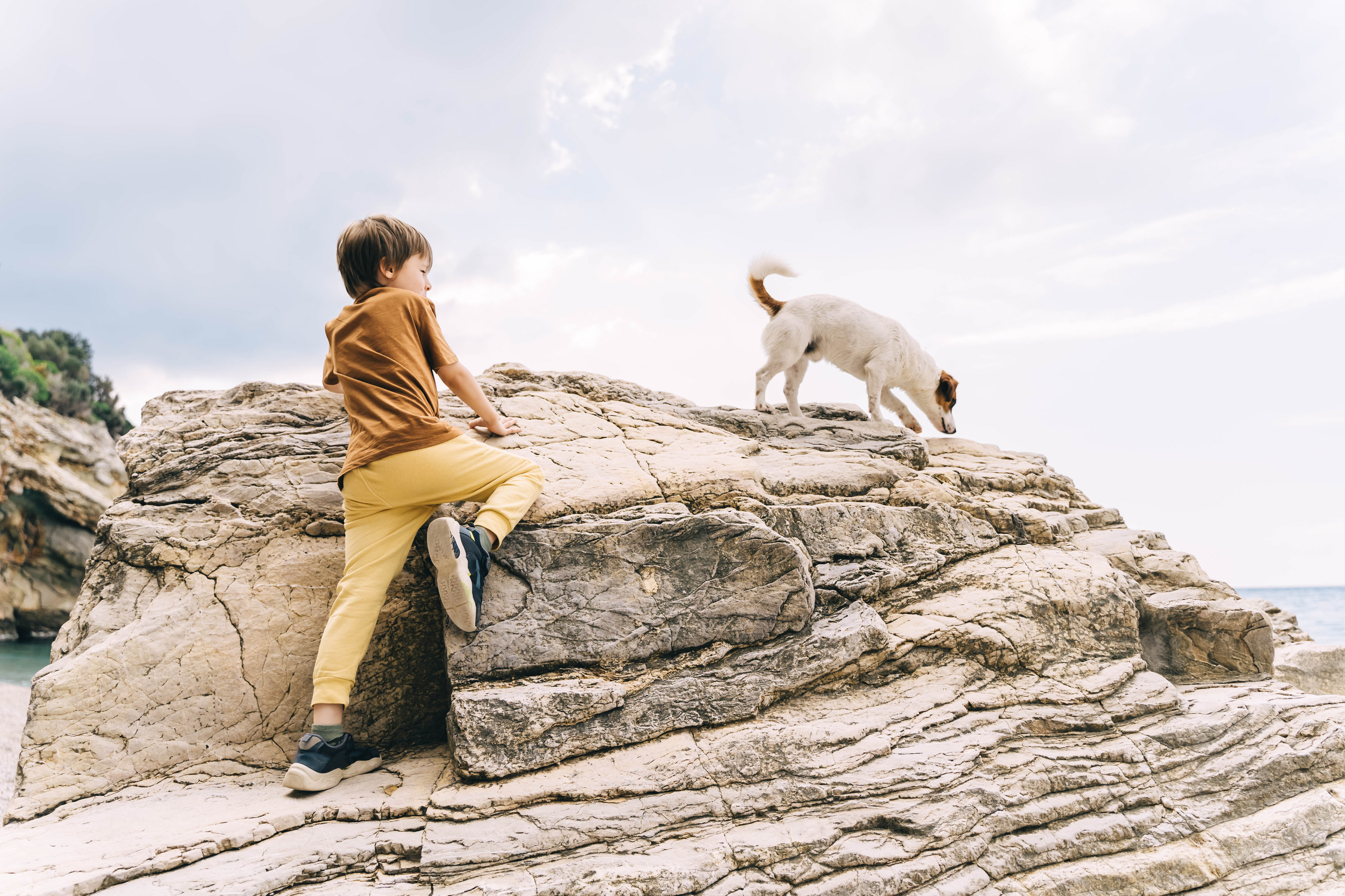 a kid climbing a rock with a dog