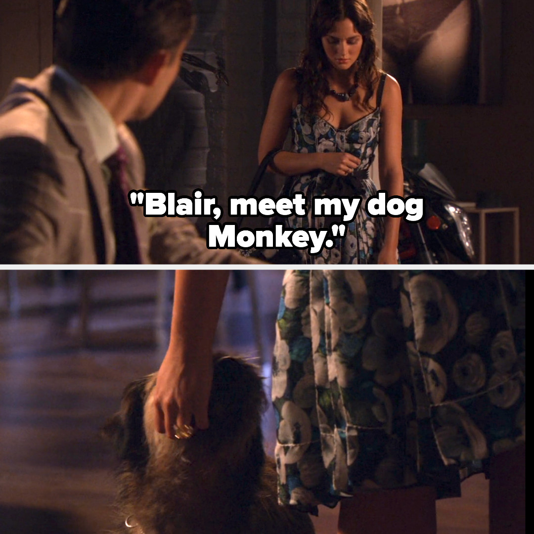 Chuck introducing Monkey to Blair